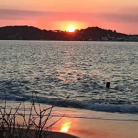 Aegean Villa-on Apartment! Ideal Choice! 아파트